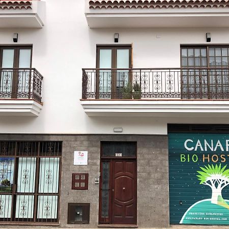 Canary Bio Hostel Tenerife لوس رياليخوس المظهر الخارجي الصورة