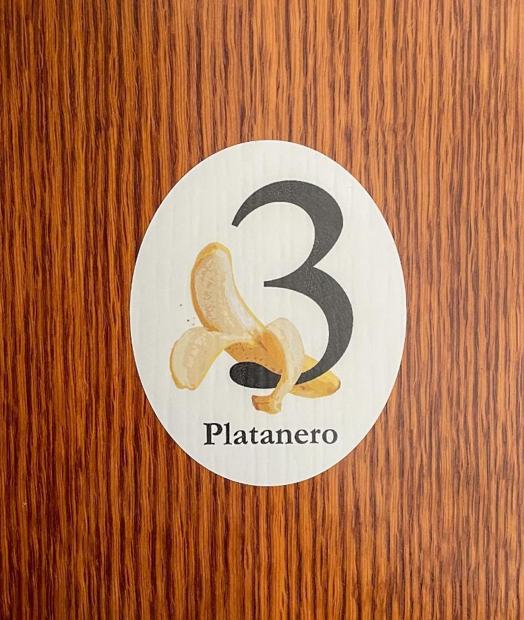 Canary Bio Hostel Tenerife لوس رياليخوس المظهر الخارجي الصورة