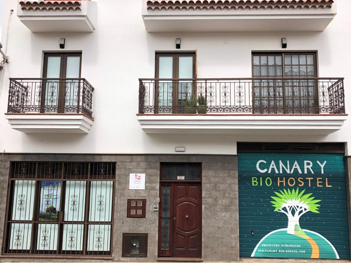 Canary Bio Hostel Tenerife لوس رياليخوس المظهر الخارجي الصورة